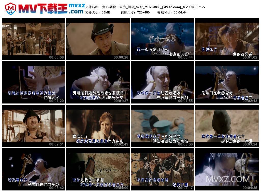 狼王-就像一只狼_国语_流行_MD203830